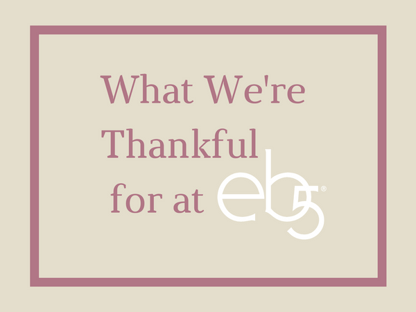 What We're Thankful for at eb5